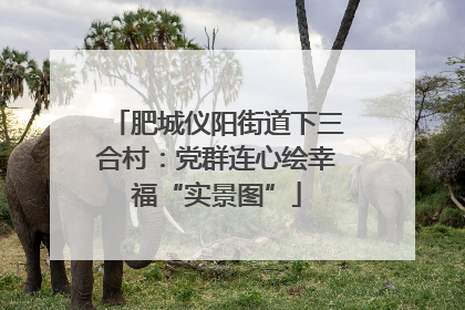 肥城仪阳街道下三合村：党群连心绘幸福“实景图”