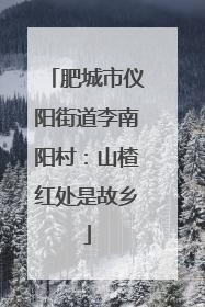 肥城市仪阳街道李南阳村：山楂红处是故乡