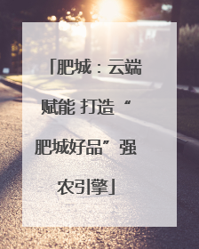 肥城：云端赋能 打造“肥城好品”强农引擎