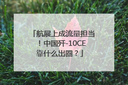 航展上成流量担当！中国歼-10CE靠什么出圈？