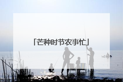芒种时节农事忙