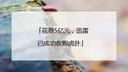 花费5亿元，迅雷已成功收购虎扑
