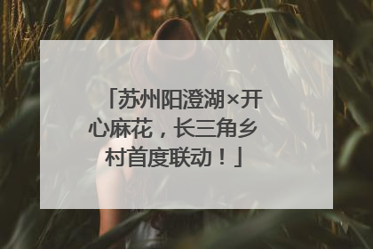 苏州阳澄湖×开心麻花，长三角乡村首度联动！