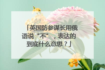 英国防参谋长用俄语说“不”，表达的到底什么意思？