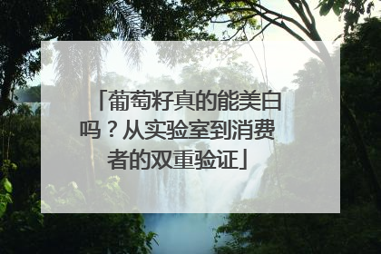葡萄籽真的能美白吗？从实验室到消费者的双重验证