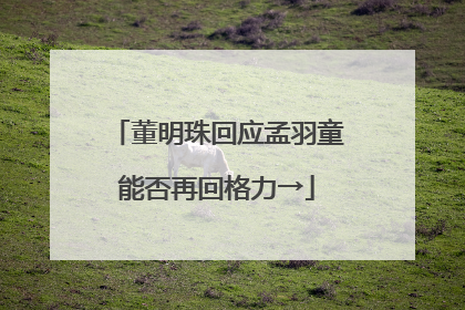 董明珠回应孟羽童能否再回格力→