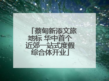 蔡甸新添文旅地标 华中首个近郊一站式度假综合体开业
