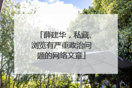 薛建华，私藏、浏览有严重政治问题的网络文章