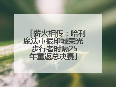 薪火相传：哈利魔法重振印城荣光 步行者时隔25年重返总决赛