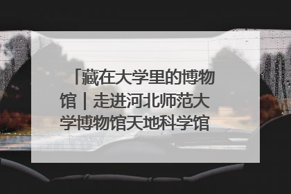 藏在大学里的博物馆｜走进河北师范大学博物馆天地科学馆：在校园里赴一场“宇宙之约”