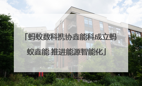 蚂蚁数科携协鑫能科成立蚂蚁鑫能 推进能源智能化