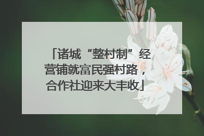 诸城“整村制”经营铺就富民强村路，合作社迎来大丰收