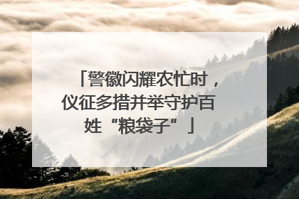 警徽闪耀农忙时，仪征多措并举守护百姓“粮袋子”