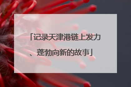 记录天津港链上发力、蓬勃向新的故事