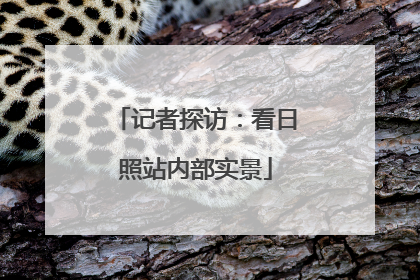 记者探访：看日照站内部实景