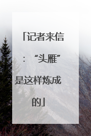 记者来信：“头雁”是这样炼成的