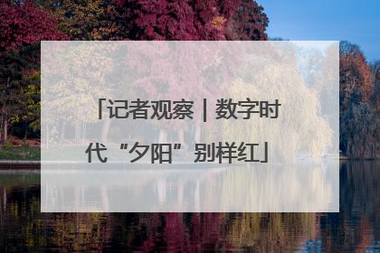 记者观察｜数字时代“夕阳”别样红