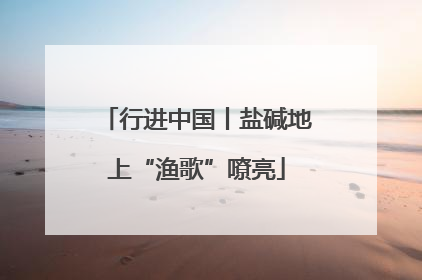 行进中国丨盐碱地上“渔歌”嘹亮