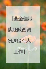 裴金佳带队赴陕西调研退役军人工作
