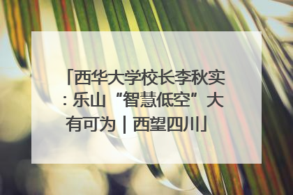 西华大学校长李秋实：乐山“智慧低空”大有可为｜西望四川