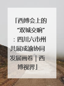 西博会上的“双城交响”：四川六市州共展成渝协同发展画卷｜西博视界