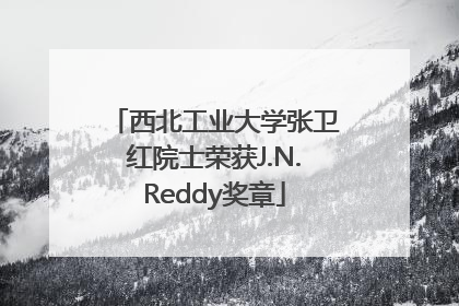 西北工业大学张卫红院士荣获J.N.Reddy奖章