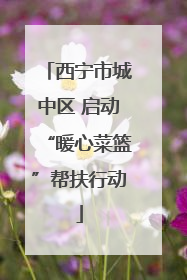 西宁市城中区 启动“暖心菜篮”帮扶行动