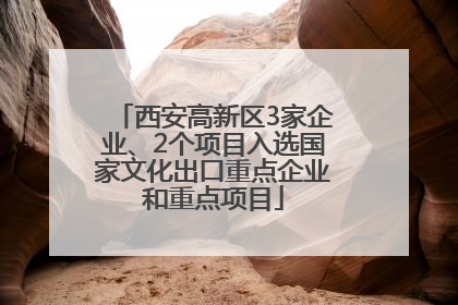 西安高新区3家企业、2个项目入选国家文化出口重点企业和重点项目