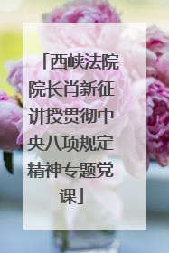 西峡法院院长肖新征讲授贯彻中央八项规定精神专题党课