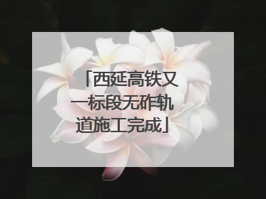 西延高铁又一标段无砟轨道施工完成