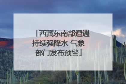 西藏东南部遭遇持续强降水 气象部门发布预警