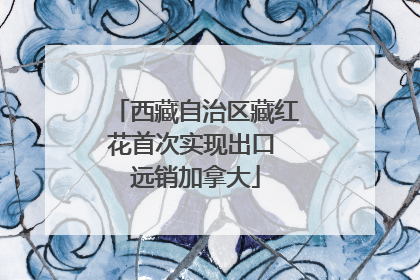 西藏自治区藏红花首次实现出口 远销加拿大