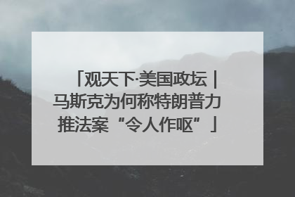 观天下·美国政坛｜马斯克为何称特朗普力推法案“令人作呕”