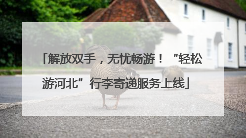解放双手，无忧畅游！“轻松游河北”行李寄递服务上线