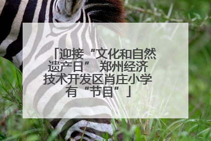迎接“文化和自然遗产日” 郑州经济技术开发区肖庄小学有“节目”