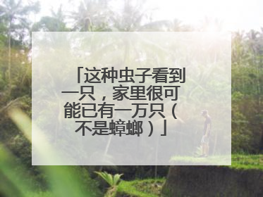 这种虫子看到一只，家里很可能已有一万只（不是蟑螂）