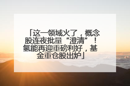 这一领域火了，概念股连夜批量“澄清”！氢能再迎重磅利好，基金重仓股出炉