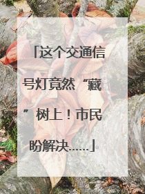 这个交通信号灯竟然“藏”树上！市民盼解决……