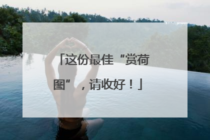 这份最佳“赏荷图”，请收好！