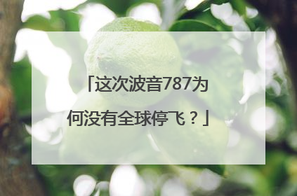 这次波音787为何没有全球停飞？