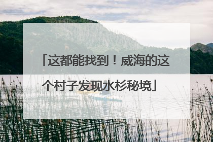 这都能找到！威海的这个村子发现水杉秘境