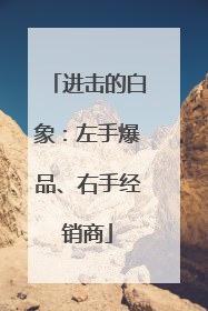进击的白象：左手爆品、右手经销商