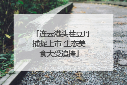 连云港头茬豆丹捕捉上市 生态美食大受追捧