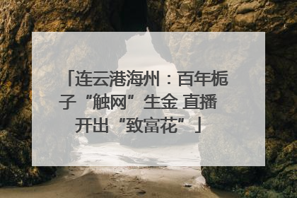 连云港海州：百年栀子“触网”生金 直播开出“致富花”