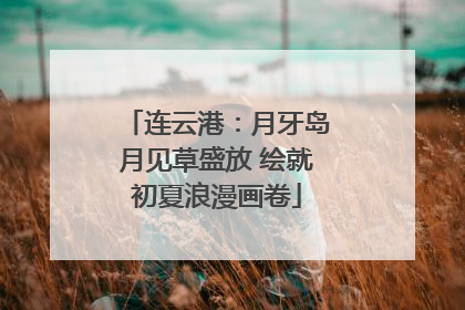 连云港：月牙岛月见草盛放 绘就初夏浪漫画卷