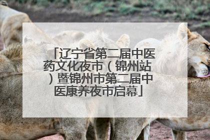 辽宁省第二届中医药文化夜市（锦州站）暨锦州市第二届中医康养夜市启幕