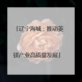 辽宁海城：推动菱镁产业高质量发展