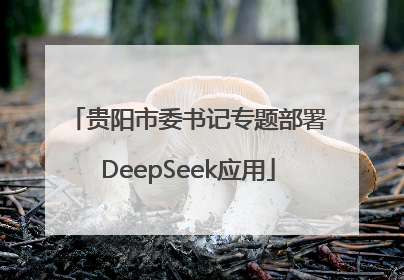 贵阳市委书记专题部署DeepSeek应用