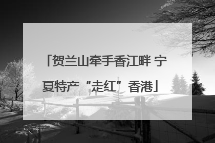 贺兰山牵手香江畔 宁夏特产“走红”香港