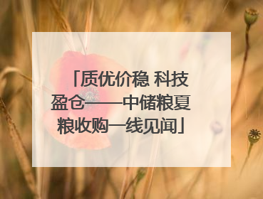 质优价稳 科技盈仓——中储粮夏粮收购一线见闻